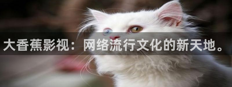 yy4480私人影院免费观看